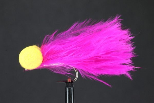 Pink Candy Booby scaled
